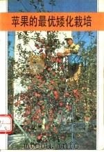 苹果的最优矮化栽培 1991 PDF电子版封面 7533706455 (日)永田正夫原著;蒋康众,蔡传书译