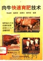 肉牛快速育肥技术   1994  PDF电子版封面  7534914272  张金钟等编著 
