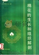 棉花的生长和组织解剖 1988 PDF电子版封面 7532300679 上海市农业科学院编著