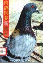 肉鸽饲养新技术（1990 PDF版）