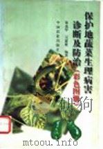 保护地蔬菜生理病害诊断及防治 彩色图册 1999 PDF电子版封面 7109054969 梁成华,吴建繁编著