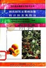 西瓜甜瓜主要病虫害的识别及其防治   1993  PDF电子版封面  7109030776  刘秀芳等编著 
