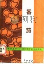 番茄 1988 PDF电子版封面 7542400754 兰州市农牧局,兰州市蔬菜局编