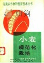 小麦规范化栽培（1991 PDF版）
