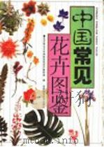 中国常见花卉图鉴 1999 PDF电子版封面 7534921112 北京林业大学园林学院花卉教研室编