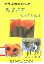 观赏花草的培育与嫁接   1993  PDF电子版封面  7501511292  孙佩雯编著 