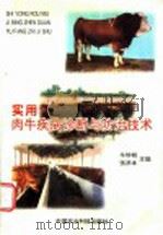 实用肉牛疾病诊断与防治技术（1999 PDF版）