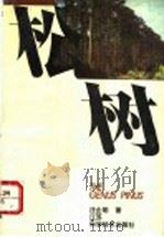 松树 1994 PDF电子版封面 7534517311 汪企明著