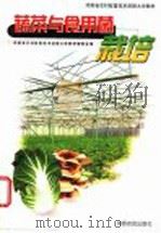 蔬菜与食用菌栽培 1999 PDF电子版封面 780641214X 河南省农村致富技术函授大学教材编委会编