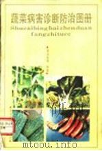 蔬菜病害诊断防治图册 1992 PDF电子版封面 7533707397 黄业东等编写