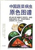 中国蔬菜病虫原色图谱（1998 PDF版）