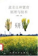 蔬菜良种繁育原理与技术 1995 PDF电子版封面 7109036049 王爱民主编