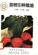 甜柿引种栽培（1995 PDF版）