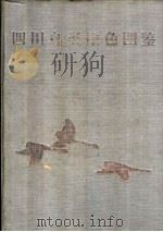 四川鸟类原色图鉴   1993  PDF电子版封面  7503811692  李桂垣主编；四川省林业厅编 
