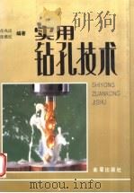 实用钻孔技术 1997 PDF电子版封面 7508202112 任兆应,张维纪编著