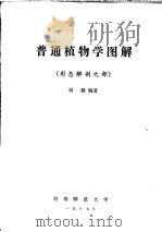 普通植物学图解  形态解剖之部（ PDF版）