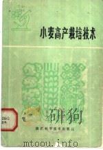 小麦高产栽培技术 1982 PDF电子版封面 16202·46 王德轩著