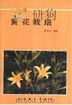 黄花栽培 1987 PDF电子版封面 16051·1137 周名毛编著