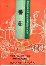 番茄 1991 PDF电子版封面 7534907659 李丽蓉等编著