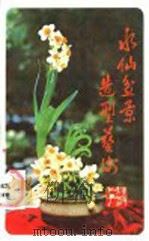 水仙盆景造型艺术（1988 PDF版）