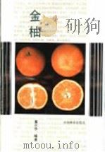 金柚 1991 PDF电子版封面 7503807938 蔡剑华编著