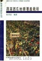 蔬菜西瓜地膜覆盖栽培 1992 PDF电子版封面 7533708075 张其安编著