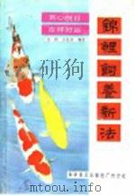 锦鲤饲养新法   1987  PDF电子版封面  16051·60470  苏锷，许品章编著 