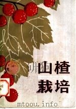 山楂栽培   1984  PDF电子版封面  16245·107  鄢德锐，韩德全编著 