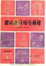 甜叶菊栽培与利用 1985 PDF电子版封面 16298·153 杨安钦,母太元编著