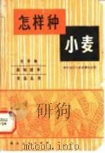 怎样种小麦 1982 PDF电子版封面 16106·388 襄阳地区行政公署农业局编写