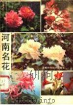 河南名花   1986  PDF电子版封面  13245·62  魏泽圃，安大化，张振中编著 