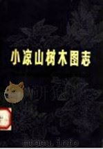 小凉山树木图志 1980 PDF电子版封面 13118·23 管中天编著