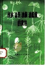 核桃 油茶 油桐 油橄榄的栽培 1973 PDF电子版封面 16116·204 云南省林业科学研究所编
