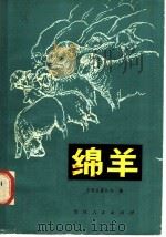 绵羊 1981 PDF电子版封面 16091·327 吉林省畜牧业局编