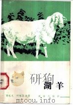 湖羊 1985 PDF电子版封面 16144·2983 蒋兆光,何锡昌编著