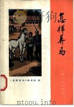 怎样养马 1974 PDF电子版封面 16171·123 《怎样养马》编写组编