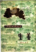 生姜   1982  PDF电子版封面  16245·49  白鹤扬编著 