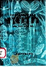 稻飞虱及其防治 1984 PDF电子版封面 16119·814 朱绍先等编著
