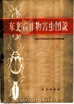 东北农作物害虫图说 1959 PDF电子版封面 16144·769 沈阳农学院植物保护系昆虫教研组编绘