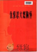 仇恨怒火燃胸怀 革命现代舞剧《白毛女》选段 小提琴独奏曲 1977 PDF电子版封面 8171·1801 胡君东编曲