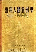艺用人体解剖学 1956 PDF电子版封面 文金扬编著
