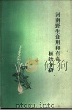 河南野生食用和有毒植物介绍   1961  PDF电子版封面  13105·29  中国科学院河南分院生物研究所编 