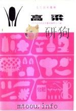 高粱 1983 PDF电子版封面 16288·29 辽宁省农民技术教材编委会主编