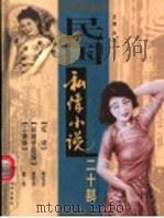 民国私情小说二十部  第5卷     PDF电子版封面    吴天主编 