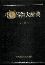 中国药物大辞典  上（ PDF版）