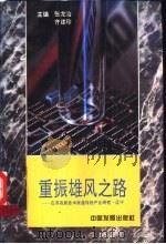 重振雄风之路:应用高新技术改造传统产业研究·辽宁 1995 PDF电子版封面 7800871541 张龙治,齐建珍主编