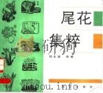 尾花集粹   1993  PDF电子版封面  7800619737  杨永德绘编 