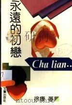 永远的初恋（1992 PDF版）