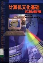 计算机文化基础实验教程 1999 PDF电子版封面 7113032672 任建平主编;杨秀芸,金红云,刘勇等编