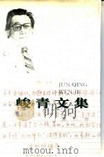 峻青文集 第3卷 长篇小说 1994 PDF电子版封面 7543416905 峻青著